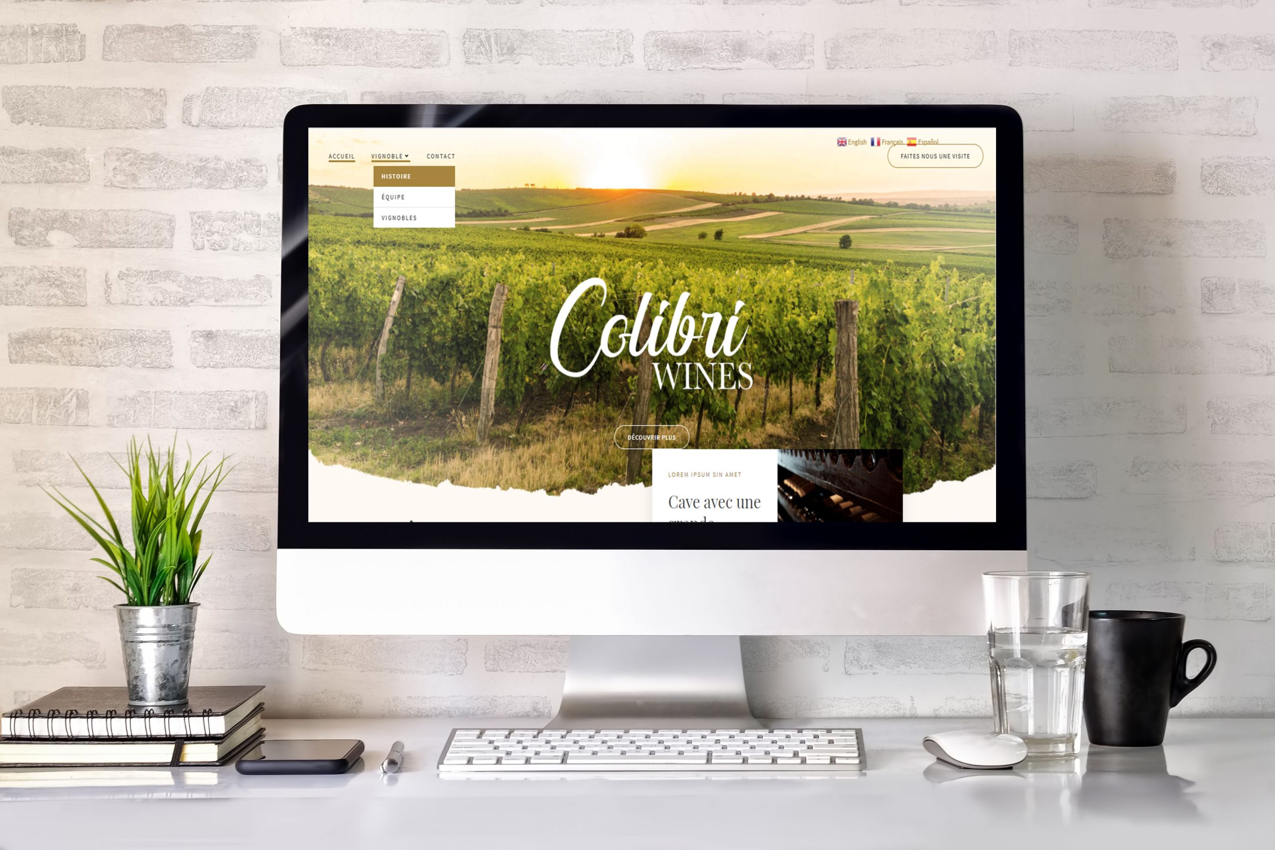 STLE-INFORMATIQUE_Site-web_Vignobles